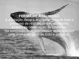 FORMA DE AVALIAÇÃO: A avaliação deverá acontecer durante todo o processo de realização das atividades, através da observação do professor. Na conclusão final, o professor deverá propor uma avaliação geral de todo o processo. 
