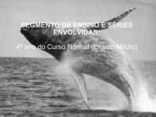 SEGMENTO DE ENSINO E SÉRIES ENVOLVIDAS:   4º ano do Curso Normal (Ensino Médio) 