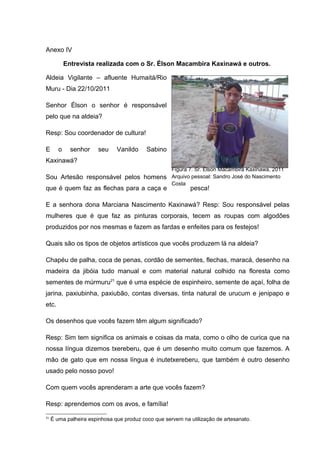 Anexo IV

            Entrevista realizada com o Sr. Élson Macambira Kaxinawá e outros.

Aldeia Vigilante – afluente Humaitá/Rio
Muru - Dia 22/10/2011

Senhor Élson o senhor é responsável
pelo que na aldeia?

Resp: Sou coordenador de cultura!

E       o     senhor    seu    Vanildo     Sabino
Kaxinawá?
                                     Figura 7. Sr. Élson Macambira Kaxinawá, 2011
Sou Artesão responsável pelos homens Arquivo pessoal: Sandro José do Nascimento
                                     Costa
que é quem faz as flechas para a caça e                     pesca!

E a senhora dona Marciana Nascimento Kaxinawá? Resp: Sou responsável pelas
mulheres que é que faz as pinturas corporais, tecem as roupas com algodões
produzidos por nos mesmas e fazem as fardas e enfeites para os festejos!

Quais são os tipos de objetos artísticos que vocês produzem lá na aldeia?

Chapéu de palha, coca de penas, cordão de sementes, flechas, maracá, desenho na
madeira da jibóia tudo manual e com material natural colhido na floresta como
sementes de múrmuru21 que é uma espécie de espinheiro, semente de açaí, folha de
jarina, paxiubinha, paxiubão, contas diversas, tinta natural de urucum e jenipapo e
etc.

Os desenhos que vocês fazem têm algum significado?

Resp: Sim tem significa os animais e coisas da mata, como o olho de curica que na
nossa língua dizemos txereberu, que é um desenho muito comum que fazemos. A
mão de gato que em nossa língua é inutetxereberu, que também é outro desenho
usado pelo nosso povo!

Com quem vocês aprenderam a arte que vocês fazem?

Resp: aprendemos com os avos, e família!
21
     É uma palheira espinhosa que produz coco que servem na utilização de artesanato.
 