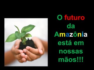 O  futuro  da A m a z ô n i a  está em nossas mãos!!! 