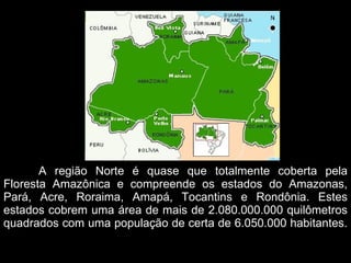   A região Norte é quase que totalmente coberta pela Floresta Amazônica e compreende os estados do Amazonas, Pará, Acre, Roraima, Amapá, Tocantins e Rondônia. Estes estados cobrem uma área de mais de 2.080.000.000 quilômetros quadrados com uma população de certa de 6.050.000 habitantes.  