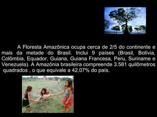 A Floresta Amazônica ocupa cerca de 2/5 do continente e mais da metade do Brasil. Inclui 9 países (Brasil, Bolívia, Colômbia, Equador, Guiana, Guiana Francesa, Peru, Suriname e Venezuela). A Amazônia brasileira compreende 3.581 quilômetros  quadrados , o que equivale a 42,07% do país. 