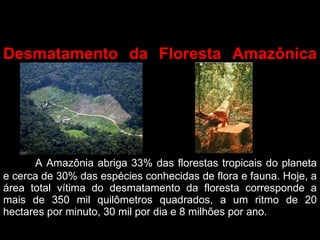 Desmatamento da Floresta Amazônica A Amazônia abriga 33% das florestas tropicais do planeta e cerca de 30% das espécies conhecidas de flora e fauna. Hoje, a área total vítima do desmatamento da floresta corresponde a mais de 350 mil quilômetros quadrados, a um ritmo de 20 hectares por minuto, 30 mil por dia e 8 milhões por ano.  