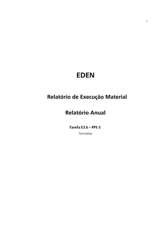 EDEN
Relatório de Execução Material
Relatório Anual
Tarefa E3.6 – PPS 5
Termólise
1
 