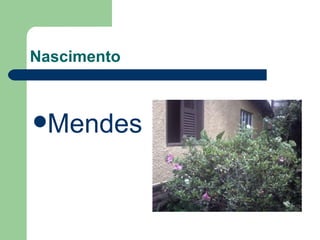 Nascimento Mendes  RJ 