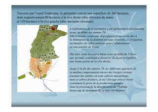 Traversé par l’oued Toukhsine, le périmètre couvre une superficie de 200 hectares,
dont respectivement 80 hectares à la rive droite (dite oliveraie du mais)
et 120 hectares à la rive gauche (dite ancienne oliveraie).
L’exploitation de ce périmètre a été globalement satisfaisante
jusqu’au début des années 70.
Elle a ensuite connu une dégradation progressive due à
la diminution de la dotation en eaux réservées à l’irrigation,
au bénéfice de celles utilisées pour l’alimentation
en eau potable de Tiznit.
Dès lors, seule la source bleue avec un débit de 5 litres
par seconde continuait à desservir de façon irrégulière,
une bonne partie de la rive droite.
Jusqu’à la fin des années 70, les différents quartiers de
la médina comprenaient encore des bergers (ortan)
jouxtant des étables où sont cultivés maraîchage,
mais et arbres fruitiers, et où l’élevage ovin et bovin
constituait le pivot de la production animale.
Sous la pression de la densification de l’habitat,
beaucoup de demeures de ce type ont disparu.

 
