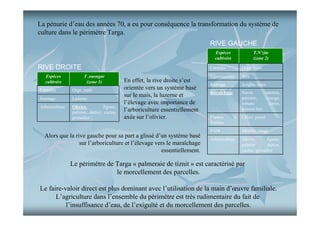 La pénurie d’eau des années 70, a eu pour conséquence la transformation du système de
culture dans le périmètre Targa.
RIVE GAUCHE
Espèces
cultivées

RIVE DROITE
Espèces
cultivées

T.N’zite
(zone 2)

Céréales
T .ousngar
(zone 1)

Céréales

Orge, mais

fourrage

Luzerne

Arboriculture

Olivier,
figuier,
palmier, dattier, cactus,
grenadier

En effet, la rive droite s’est
orientée vers un système basé
sur le mais, la luzerne et
l’élevage avec importance de
l’arboriculture essentiellement
axée sur l’olivier.

Orge, mais

légumineuses

fève

fourrage

Sorgho, mais

maraîchage

Navet,
carottes,
poivron,
courge,
tomate
cerise,
piment fort

Plantes
feuilles

à

Céleri, persil

PAM

Alors que la rive gauche pour sa part a glissé d’un système basé
sur l’arboriculture et l’élevage vers le maraîchage
essentiellement.

Menthe, sauge

Arboriculture

Olivier,
figuier,
palmier
dattier,
cactus, grenadier

Le périmètre de Targa « palmeraie de tiznit » est caractérisé par
le morcellement des parcelles.
Le faire-valoir direct est plus dominant avec l’utilisation de la main d’œuvre familiale.
L’agriculture dans l’ensemble du périmètre est très rudimentaire du fait de
l’insuffisance d’eau, de l’exiguïté et du morcellement des parcelles.

 