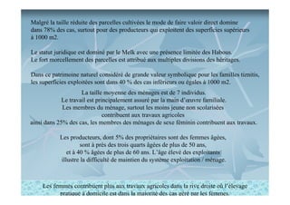 Malgré la taille réduite des parcelles cultivées le mode de faire valoir direct domine
dans 78% des cas, surtout pour des producteurs qui exploitent des superficies supérieurs
à 1000 m2.
Le statut juridique est dominé par le Melk avec une présence limitée des Habous.
Le fort morcellement des parcelles est attribué aux multiples divisions des héritages.
Dans ce patrimoine naturel considéré de grande valeur symbolique pour les familles tiznitis,
les superficies exploitées sont dans 40 % des cas inférieurs ou égales à 1000 m2.
La taille moyenne des ménages est de 7 individus.
Le travail est principalement assuré par la main d’œuvre familiale.
Les membres du ménage, surtout les moins jeune non scolarisées
contribuent aux travaux agricoles
ainsi dans 25% des cas, les membres des ménages de sexe féminin contribuent aux travaux.
Les producteurs, dont 5% des propriétaires sont des femmes âgées,
sont à près des trois quarts âgées de plus de 50 ans,
et à 40 % âgées de plus de 60 ans. L’âge élevé des exploitants
illustre la difficulté de maintien du système exploitation / ménage.

Les femmes contribuent plus aux travaux agricoles dans la rive droite où l’élevage
pratique à domicile est dans la majorité des cas géré par les femmes.

 