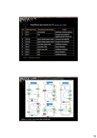 19
Klasifikasi tipe kanal ion Cl (Jentsch, et al, 2002)
asidifikasi lisosomluasCLC-79
belum diketahuiluasCLC-68
asidifikasi endosomginjal, usus, hatiCLC-57
belum diketahuiluas (otak, otot)CLC-46
asidifikasi endosomluas (otak, ginjal, hati)CLC-35
transport transepitelialginjal, telinga bagian dalamCLC-Kb4
transport transepitelialginjal, telinga bagian dalamCLC-Ka3
transport transepitelial,
regulasi pH dan volume sel
luasCLC-22
stabilisasi membran plasmaotot skeletalCLC-11
FungsiEkspresinya pada jaringanNama tipe kanalNo.
CLC = Chloride channel
Copyright ©2005 American Society for Clinical Investigation
Jentsch, T. J. et al. J. Clin. Invest. 2005;115:2039-2046
Diverse roles of Cl- channels in transepithelial transport
 