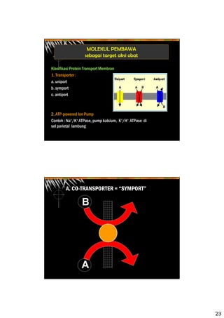 23
MOLEKUL PEMBAWA
sebagai target aksi obat
Klasifikasi Protein Transport Membran
1. Transporter :
a. uniport
b. symport
c. antiport
2. ATP-powered Ion Pump
Contoh : Na+/K+ ATPase, pump kalsium, K+/H+ ATPase di
sel parietal lambung
A
B
A. CO-TRANSPORTER = “SYMPORT”
 