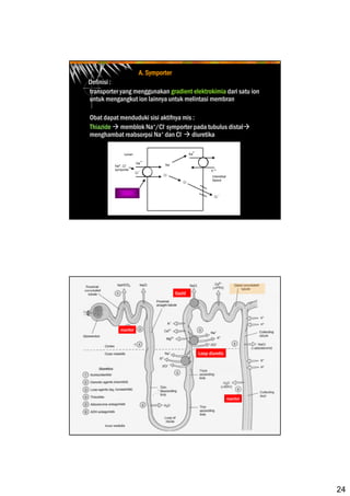 24
A. Symporter
Definisi :
transporter yang menggunakan gradient elektrokimia dari satu ion
untuk mengangkut ion lainnya untuk melintasi membran
Obat dapat menduduki sisi aktifnya mis :
Thiazide memblok Na+/Cl- symporter pada tubulus distal
menghambat reabsorpsi Na+ dan Cl- diuretika
Loop diuretic
tiazid
manitol
manitol
 