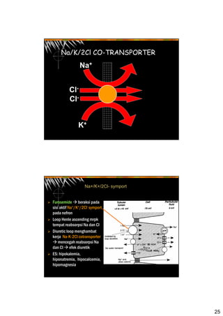 25
Na/K/2Cl CO-TRANSPORTER
Cl-
Cl-
Na+
K+
Furosemide beraksi pada
sisi aktif Na+/K+/2Cl- symport
pada nefron
Loop Henle ascending mrpk
tempat reabsorpsi Na dan Cl
Diuretic loop menghambat
kerja Na-K-2Cl cotransporter
mencegah reabsorpsi Na
dan Cl efek diuretik
ES: hipokalemia,
hiponatremia, hipocalcemia,
hipomagnesia
Na+/K+/2Cl- symport
 