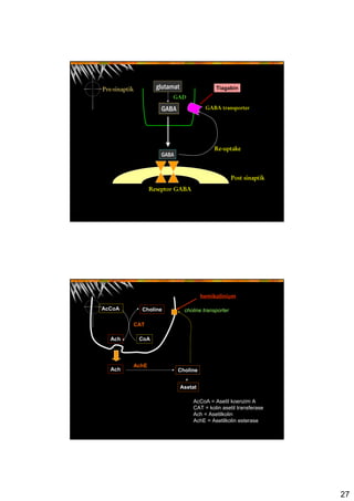 27
glutamat
GABA
GAD
GABA
Post sinaptik
Pre-sinaptik
Re-uptake
Reseptor GABA
GABA transporter
Tiagabin
AcCoA Choline
Ach CoA
CAT
Ach Choline
Asetat
+
AchE
AcCoA = Asetil koenzim A
CAT = kolin asetil transferase
Ach = Asetilkolin
AchE = Asetilkolin esterase
hemikolinium
choline transporter
 