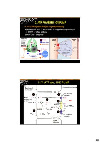 28
2. ATP-POWERED ION PUMP
- K+/H+ ATPase (proton pump) di sel parietal lambung
Apabila dipacu terus aliran ion H + ke rongga lambung meningkat
HCl >> iritasi lambung
Contoh Obat : Omeprazol
H/K ATPase, H/K PUMP
1
2
3 5
4
6 HCl
 