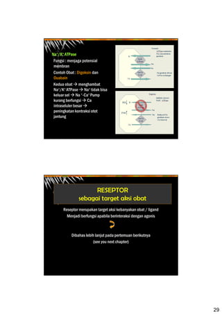 29
Na+/K+ ATPase
Fungsi : menjaga potensial
membran
Contoh Obat : Digoksin dan
Ouabain
Kedua obat menghambat
Na+/K+ ATPase Na+ tidak bisa
keluar sel Na +-Ca+ Pump
kurang berfungsi Ca
intraseluler besar
peningkatan kontraksi otot
jantung
RESEPTOR
sebagai target aksi obat
Reseptor merupakan target aksi kebanyakan obat / ligand
Menjadi berfungsi apabila berinteraksi dengan agonis
Dibahas lebih lanjut pada pertemuan berikutnya
(see you next chapter)
 