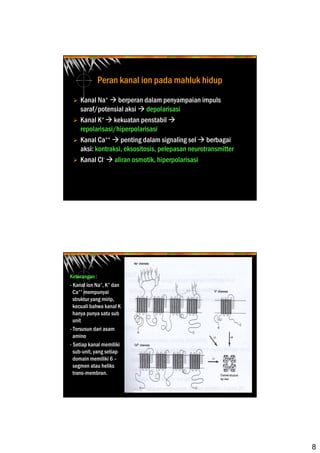 8
Peran kanal ion pada mahluk hidup
Kanal Na+ berperan dalam penyampaian impuls
saraf/potensial aksi depolarisasi
Kanal K+ kekuatan penstabil
repolarisasi/hiperpolarisasi
Kanal Ca++ penting dalam signaling sel berbagai
aksi: kontraksi, eksositosis, pelepasan neurotransmitter
Kanal Cl- aliran osmotik, hiperpolarisasi
Keterangan :
- Kanal ion Na+, K+ dan
Ca++ mempunyai
struktur yang mirip,
kecuali bahwa kanal K
hanya punya satu sub
unit
- Tersusun dari asam
amino
- Setiap kanal memiliki
sub-unit, yang setiap
domain memiliki 6 –
segmen atau heliks
trans-membran.
 