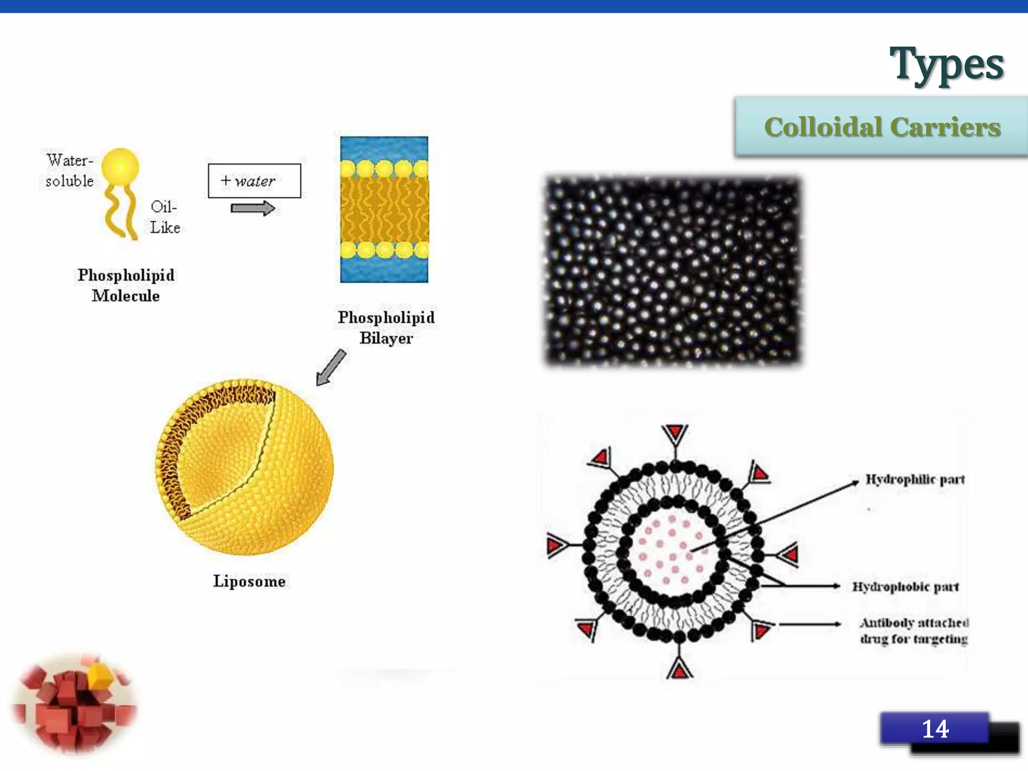 Page 23
Types
14
Colloidal Carriers
 