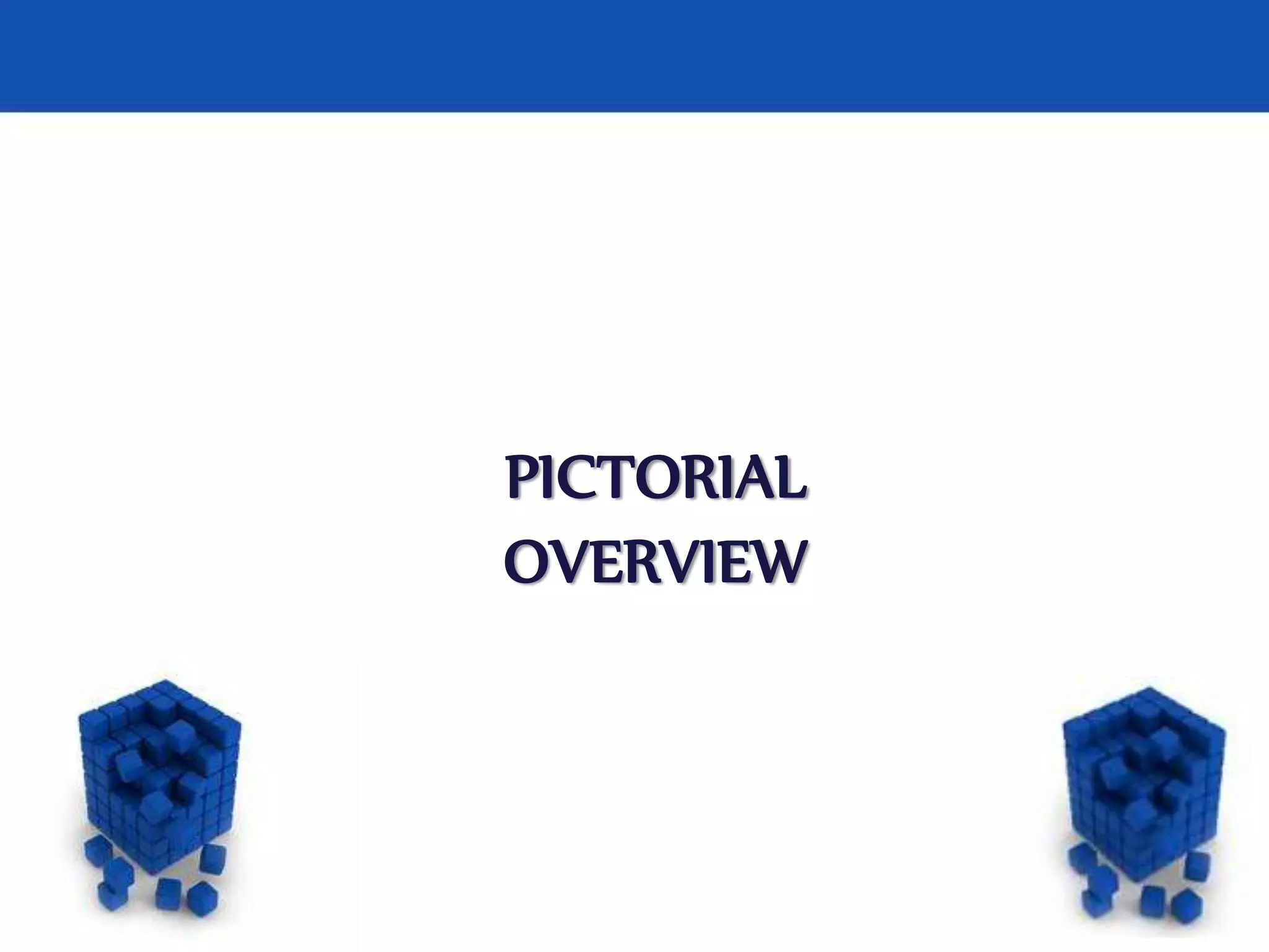 Page 8
PICTORIAL
OVERVIEW
 