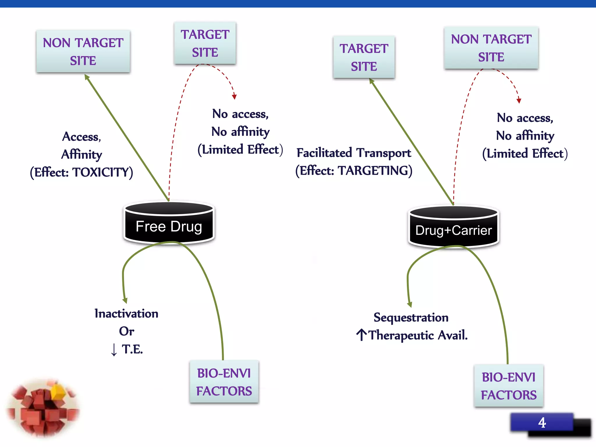Page 94
Free Drug
No access,
No affinity
(Limited Effect)
Access,
Affinity
(Effect: TOXICITY)
Inactivation
Or
↓ T.E.
TARGET
SITE
NON TARGET
SITE
BIO-ENVI
FACTORS
Drug+Carrier
No access,
No affinity
(Limited Effect)Facilitated Transport
(Effect: TARGETING)
Sequestration
↑Therapeutic Avail.
TARGET
SITE
NON TARGET
SITE
BIO-ENVI
FACTORS
 