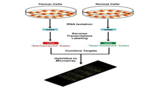 Drug Discovery Process: Target Discovery, Identification and Validation ...