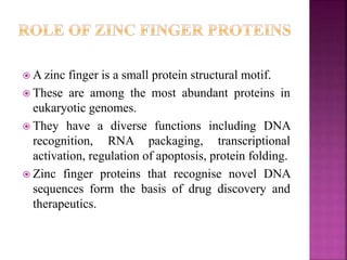 A zinc finger is a small protein structural motif.
 These are among the most abundant proteins in
eukaryotic genomes.
 They have a diverse functions including DNA
recognition, RNA packaging, transcriptional
activation, regulation of apoptosis, protein folding.
 Zinc finger proteins that recognise novel DNA
sequences form the basis of drug discovery and
therapeutics.
 