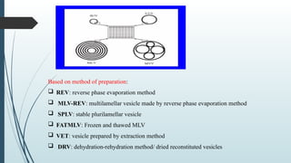 Based on method of preparation:
 REV: reverse phase evaporation method
 MLV-REV: multilamellar vesicle made by reverse phase evaporation method
 SPLV: stable plurilamellar vesicle
 FATMLV: Frozen and thawed MLV
 VET: vesicle prepared by extraction method
 DRV: dehydration-rehydration method/ dried reconstituted vesicles
 