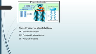 Naturally occurring phospholipids are
PC: Phosphatidylcholine
PE: Phosphatidylethanolamine
PS; Phosphatidylserine
 