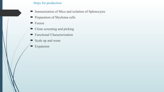 Steps for production
 Immunization of Mice and isolation of Splenocytes
 Preparation of Myeloma cells
 Fusion
 Clone screening and picking
 Functional Characterization
 Scale up and wean
 Expansion
 