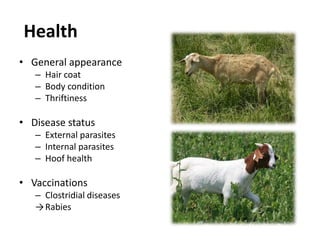 Controlling animalsTransportationContainment (fencing)Handling