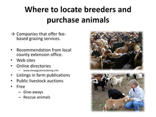 Fencing optionsPermanentWoven wire or net fencingHigh-tensile, electricTemporary, portableElectric smooth wirePolywire, tape, ropeElectric netting