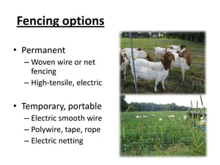 Temporary (portable) fencingElectric nettingElectricsmooth, polywire, tape, ropeDifferent configurations and heightsComes in standard size rolls.Physical/physiological barrierPredator proofMore expensive1 to 3 wiresSingle or multi-wire rollsStep-in postsLeast expensive type of fencingPhysiological barrier only