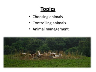 TopicsChoosing animalsControlling animalsAnimal management