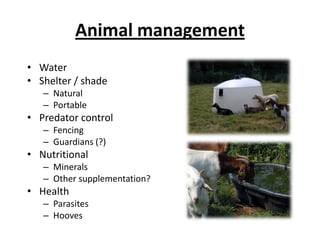 Goats and sheep: a weapon against weeds