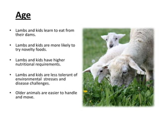 ConditionHornsStatus Health