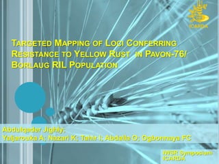 ICARDA Targeted Mapping of Loci Conferring Resistance to Yellow Rust  in Pavon-76/ Borlaug RIL Population  AbdulqaderJighly; YaljaroukaA; Nazari K; Tahir I; AbdallaO; OgbonnayaFC IWSR Symposium ICARDA 