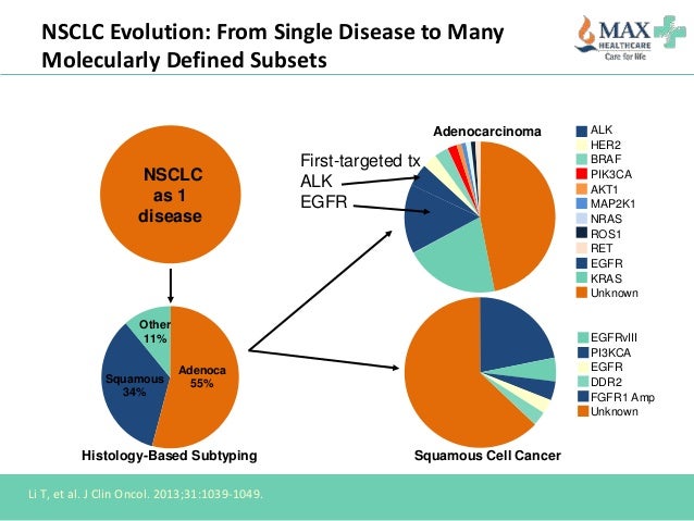 Targeted therapy and immunotherapy in lung cancer