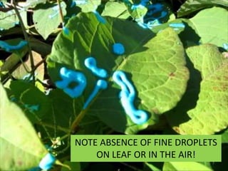 NOTE ABSENCE OF FINE DROPLETS
ON LEAF OR IN THE AIR!
7

 