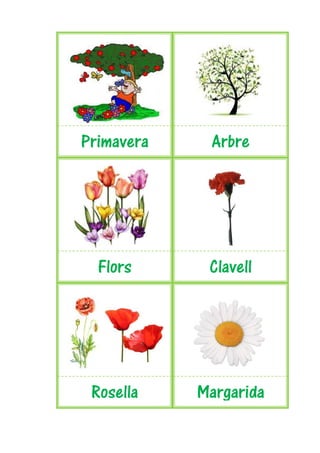 Primavera    Arbre




  Flors      Clavell




 Rosella    Margarida
 