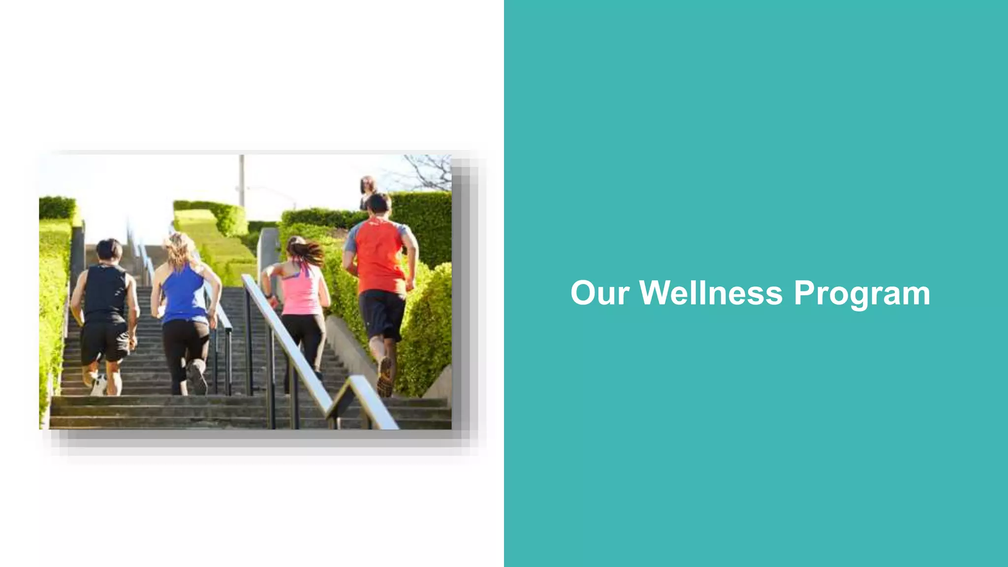 How Target Made Wellness a Business Priority
Click to edit Master title style
Click to edit Master subtitle style
©2016 Fitbit Inc. All rights reserved.
Our Wellness Program
 