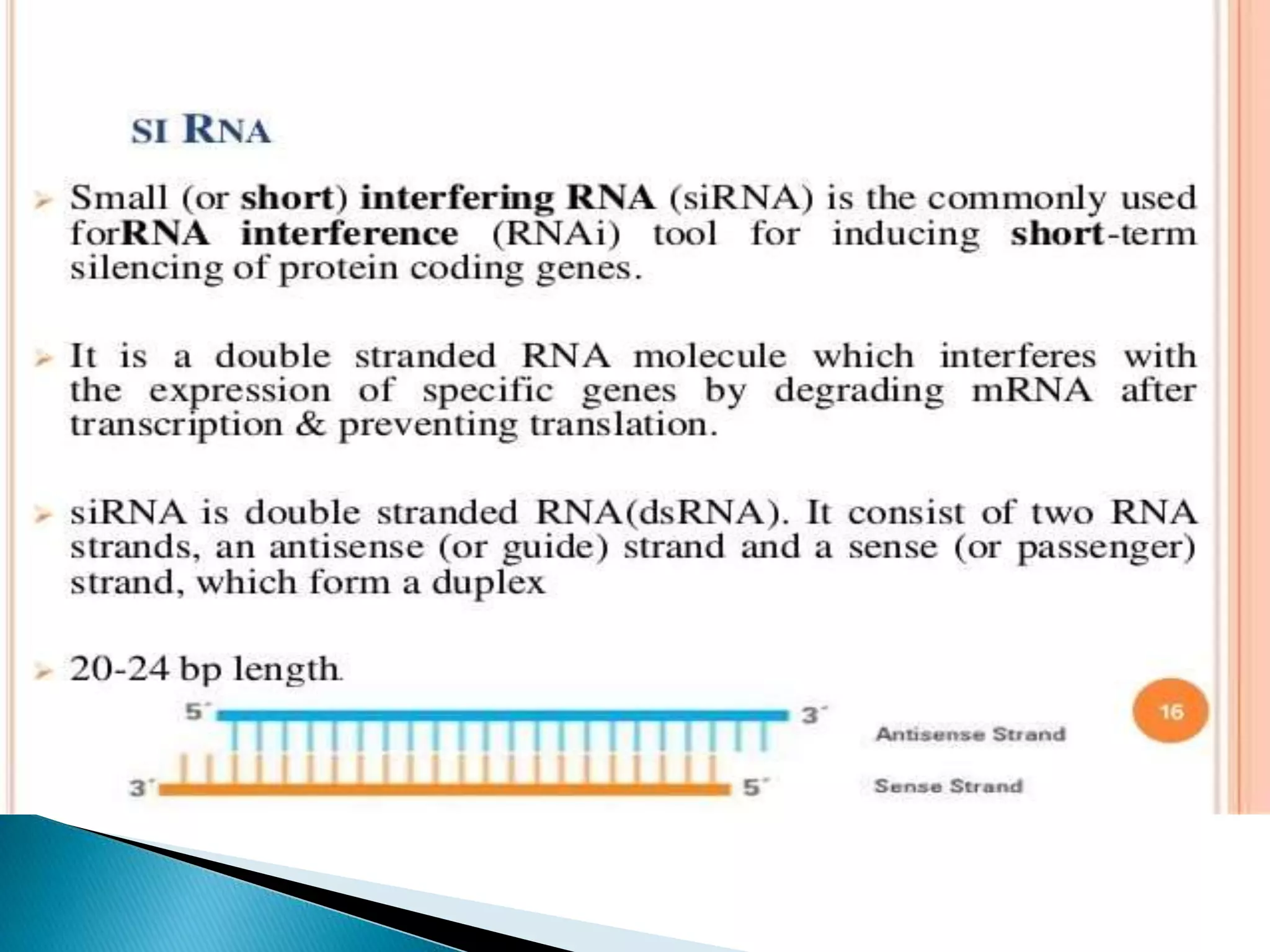 Target identification and validation
