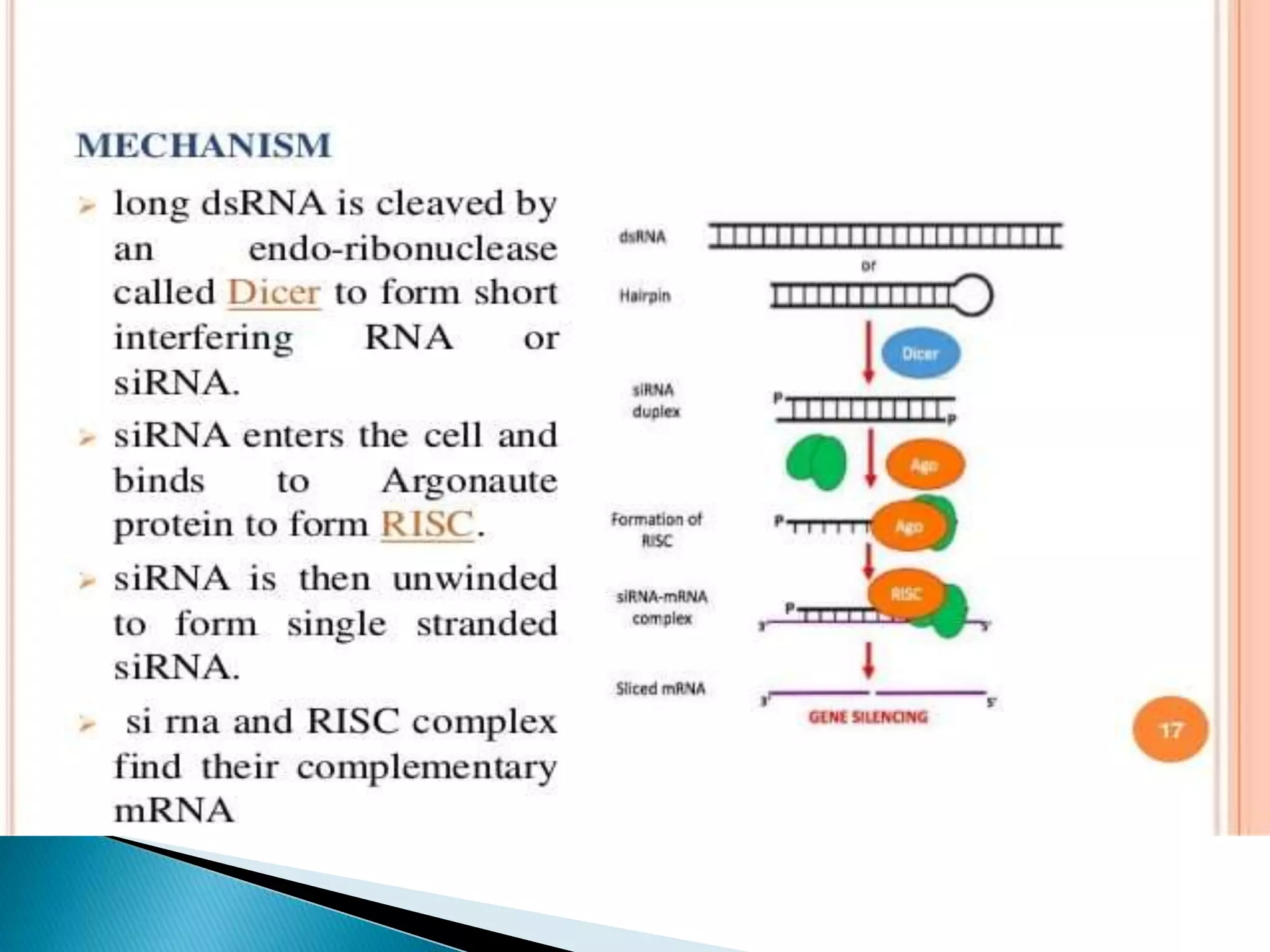 Target identification and validation