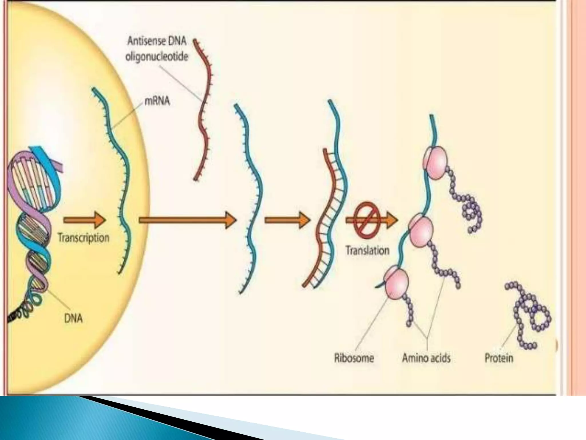 Target identification and validation