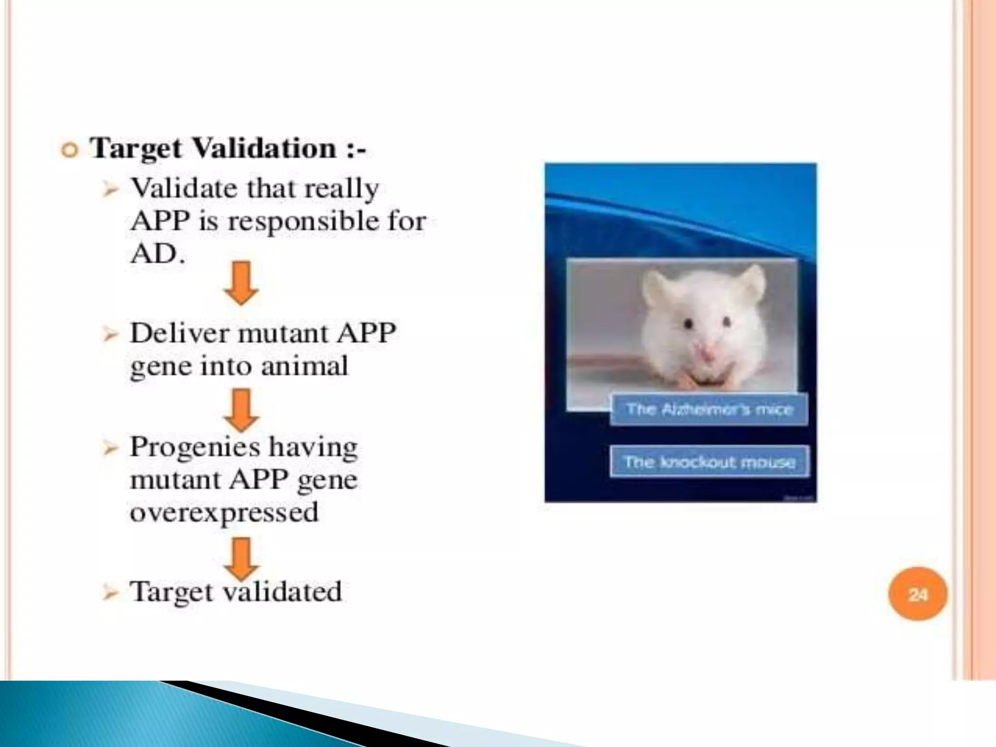 Target identification and validation