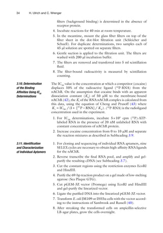 34 H. Ulrich and C. Wrenger
ﬁlters (background binding) is determined in the absence of
receptor protein.
4. Incubate reactions for 40 min at room temperature.
5. In the meantime, mount the glass ﬁber ﬁlters on top of the
ﬁlter sheet in the dot-blot ﬁltration unit (Schleicher and
Schuell). For duplicate determinations, two samples each of
45 ml solution are spotted on separate ﬁlters.
6. Gentle suction is applied to the ﬁltration unit. The ﬁlters are
washed with 200 ml incubation buffer.
7. The ﬁlters are removed and transferred into 5 ml scintillation
ﬂuid.
8. The ﬁlter-bound radioactivity is measured by scintillation
counting.
The IC50
value is the concentration at which a competitor (cocaine)
displaces 50% of the radioactive ligand (32
P-RNA) from the
nAChR. On the assumption that cocaine binds with an apparent
dissociation constant (Kd
) of 50 mM to the membrane-bound
nAChR (42), the Ki
of the RNA:nAChR complex is calculated from
this data, using the equation of Cheng and Prusoff (43) where
32
i 50 dIC / (1 [ P RNA] / )K K= + − . (32
P-RNA) is the radioligand
concentration used in the experiment.
1. For IC50
determinations, incubate 5×105
cpm (32
P)-ATP-
labeled RNA in the presence of 20 nM unlabeled RNA with
constant concentrations of nAChR protein.
2. Increase cocaine concentration from 0 to 10 mM and separate
the reaction mixtures as described in Subheading 3.9.
1. For cloning and sequencing of individual RNA aptamers, nine
SELEX cycles are necessary to obtain high-afﬁnity RNA ligands
for the nAChR.
2. Reverse transcribe the ﬁnal RNA pool, and amplify and gel-
purify the resulting cDNA (see Subheading 3.7).
3. Cut the constant regions using the restriction enzymes EcoRI
and HindIII.
4. Purify the 69-bp reaction product on a gel made of low-melting
agarose (Sea Plaque GTG).
5. Cut pGEM-3Z vector (Promega) using EcoRI and HindIII
and gel-purify the linearized vector.
6. Ligate the puriﬁed DNA into the linearized pGEM-3Z vector.
7. Transform E. coli JM109 or DH5a cells with the vector accord-
ing to the instructions of Sambrook and Russell (40).
8. After streaking the transformed cells on ampicillin-selective
LB-agar plates, grow the cells overnight.
3.10. Determination
of the Binding
Afﬁnities Using IC50
Determinations
3.11. Identiﬁcation
and Characterization
of Individual Aptamers
 