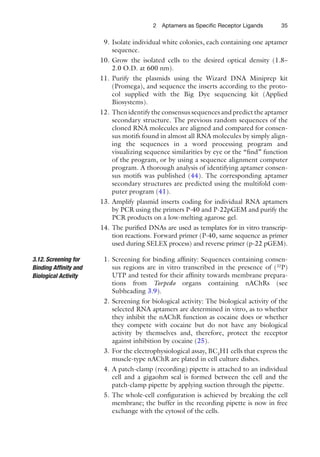 352 Aptamers as Speciﬁc Receptor Ligands
9. Isolate individual white colonies, each containing one aptamer
sequence.
10. Grow the isolated cells to the desired optical density (1.8–
2.0 O.D. at 600 nm).
11. Purify the plasmids using the Wizard DNA Miniprep kit
(Promega), and sequence the inserts according to the proto-
col supplied with the Big Dye sequencing kit (Applied
Biosystems).
12. Then identify the consensus sequences and predict the aptamer
secondary structure. The previous random sequences of the
cloned RNA molecules are aligned and compared for consen-
sus motifs found in almost all RNA molecules by simply align-
ing the sequences in a word processing program and
visualizing sequence similarities by eye or the “ﬁnd” function
of the program, or by using a sequence alignment computer
program. A thorough analysis of identifying aptamer consen-
sus motifs was published (44). The corresponding aptamer
secondary structures are predicted using the multifold com-
puter program (41).
13. Amplify plasmid inserts coding for individual RNA aptamers
by PCR using the primers P-40 and P-22pGEM and purify the
PCR products on a low-melting agarose gel.
14. The puriﬁed DNAs are used as templates for in vitro transcrip-
tion reactions. Forward primer (P-40, same sequence as primer
used during SELEX process) and reverse primer (p-22 pGEM).
1. Screening for binding afﬁnity: Sequences containing consen-
sus regions are in vitro transcribed in the presence of (32
P)
UTP and tested for their afﬁnity towards membrane prepara-
tions from Torpedo organs containing nAChRs (see
Subheading 3.9).
2. Screening for biological activity: The biological activity of the
selected RNA aptamers are determined in vitro, as to whether
they inhibit the nAChR function as cocaine does or whether
they compete with cocaine but do not have any biological
activity by themselves and, therefore, protect the receptor
against inhibition by cocaine (25).
3. For the electrophysiological assay, BC3
H1 cells that express the
muscle-type nAChR are plated in cell culture dishes.
4. A patch-clamp (recording) pipette is attached to an individual
cell and a gigaohm seal is formed between the cell and the
patch-clamp pipette by applying suction through the pipette.
5. The whole-cell conﬁguration is achieved by breaking the cell
membrane; the buffer in the recording pipette is now in free
exchange with the cytosol of the cells.
3.12. Screening for
Binding Afﬁnity and
Biological Activity
 