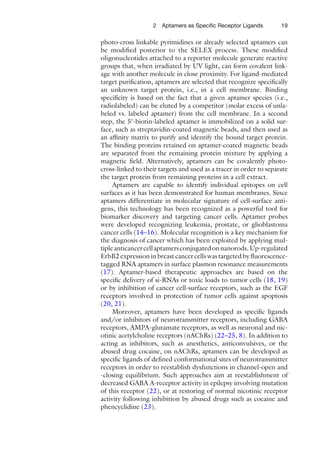 192 Aptamers as Speciﬁc Receptor Ligands
photo-cross linkable pyrimidines or already selected aptamers can
be modiﬁed posterior to the SELEX process. These modiﬁed
oligonucleotides attached to a reporter molecule generate reactive
groups that, when irradiated by UV light, can form covalent link-
age with another molecule in close proximity. For ligand-mediated
target puriﬁcation, aptamers are selected that recognize speciﬁcally
an unknown target protein, i.e., in a cell membrane. Binding
speciﬁcity is based on the fact that a given aptamer species (i.e.,
radiolabeled) can be eluted by a competitor (molar excess of unla-
beled vs. labeled aptamer) from the cell membrane. In a second
step, the 5¢-biotin-labeled aptamer is immobilized on a solid sur-
face, such as streptavidin-coated magnetic beads, and then used as
an afﬁnity matrix to purify and identify the bound target protein.
The binding proteins retained on aptamer-coated magnetic beads
are separated from the remaining protein mixture by applying a
magnetic ﬁeld. Alternatively, aptamers can be covalently photo-
cross-linked to their targets and used as a tracer in order to separate
the target protein from remaining proteins in a cell extract.
Aptamers are capable to identify individual epitopes on cell
surfaces as it has been demonstrated for human membranes. Since
aptamers differentiate in molecular signature of cell-surface anti-
gens, this technology has been recognized as a powerful tool for
biomarker discovery and targeting cancer cells. Aptamer probes
were developed recognizing leukemia, prostate, or glioblastoma
cancer cells (14–16). Molecular recognition is a key mechanism for
the diagnosis of cancer which has been exploited by applying mul-
tipleanticancercellaptamersconjugatedonnanorods.Up-regulated
ErbB2 expression in breast cancer cells was targeted by ﬂuorescence-
tagged RNA aptamers in surface plasmon resonance measurements
(17). Aptamer-based therapeutic approaches are based on the
speciﬁc delivery of si-RNAs or toxic loads to tumor cells (18, 19)
or by inhibition of cancer cell-surface receptors, such as the EGF
receptors involved in protection of tumor cells against apoptosis
(20, 21).
Moreover, aptamers have been developed as speciﬁc ligands
and/or inhibitors of neurotransmitter receptors, including GABA
receptors, AMPA-glutamate receptors, as well as neuronal and nic-
otinic acetylcholine receptors (nAChRs) (22–25, 8). In addition to
acting as inhibitors, such as anesthetics, anticonvulsives, or the
abused drug cocaine, on nAChRs, aptamers can be developed as
speciﬁc ligands of deﬁned conformational sites of neurotransmitter
receptors in order to reestablish dysfunctions in channel-open and
-closing equilibrium. Such approaches aim at reestablishment of
decreased GABA A-receptor activity in epilepsy involving mutation
of this receptor (22), or at restoring of normal nicotinic receptor
activity following inhibition by abused drugs such as cocaine and
phencyclidine (23).
 