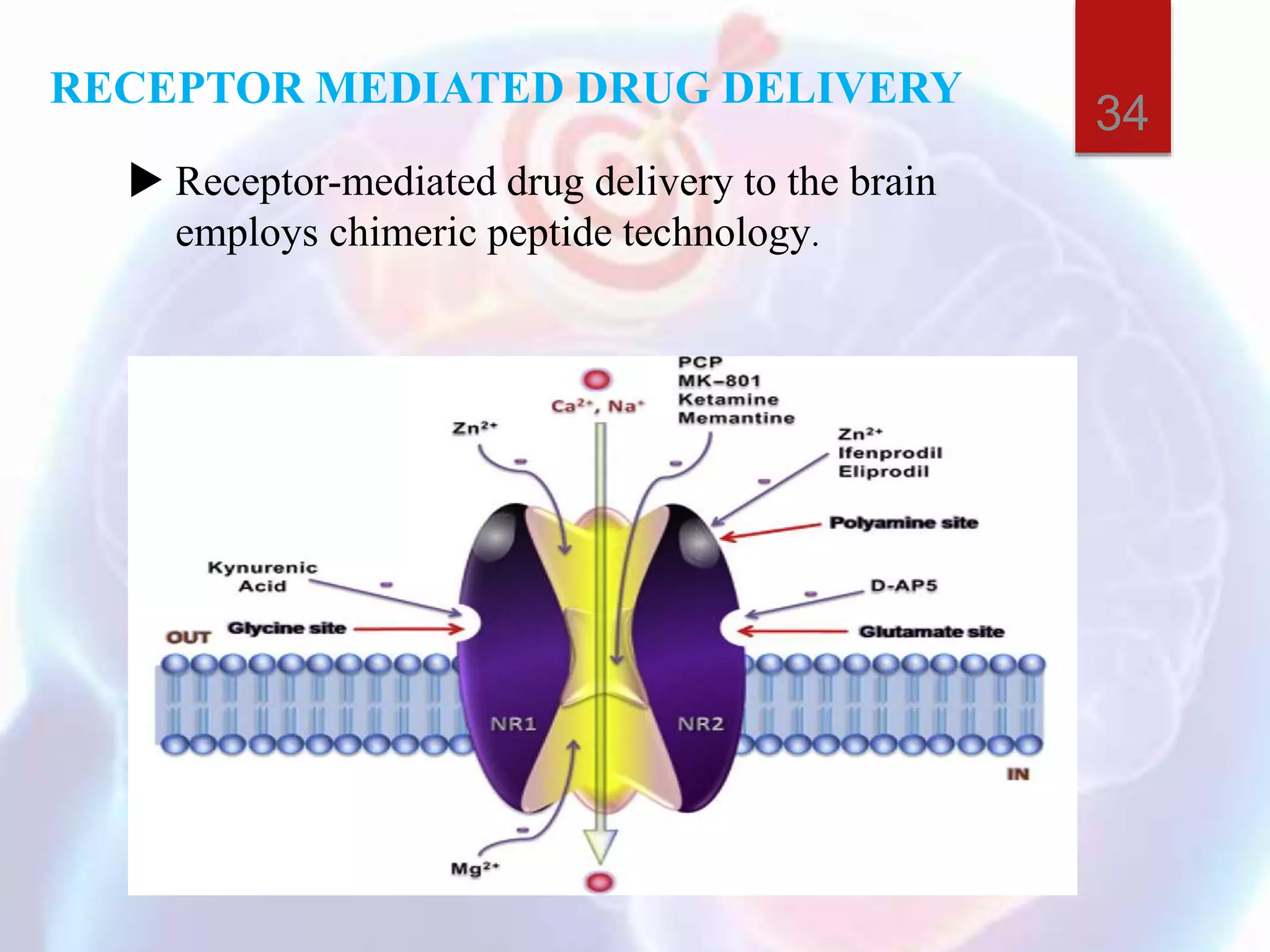 RECEPTOR MEDIATED DRUG DELIVERY
 Receptor-mediated drug delivery to the brain
employs chimeric peptide technology.
34
 