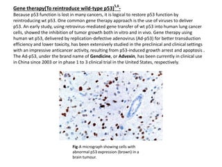 Targeting p53 for novel anticancer therapy | PPTX