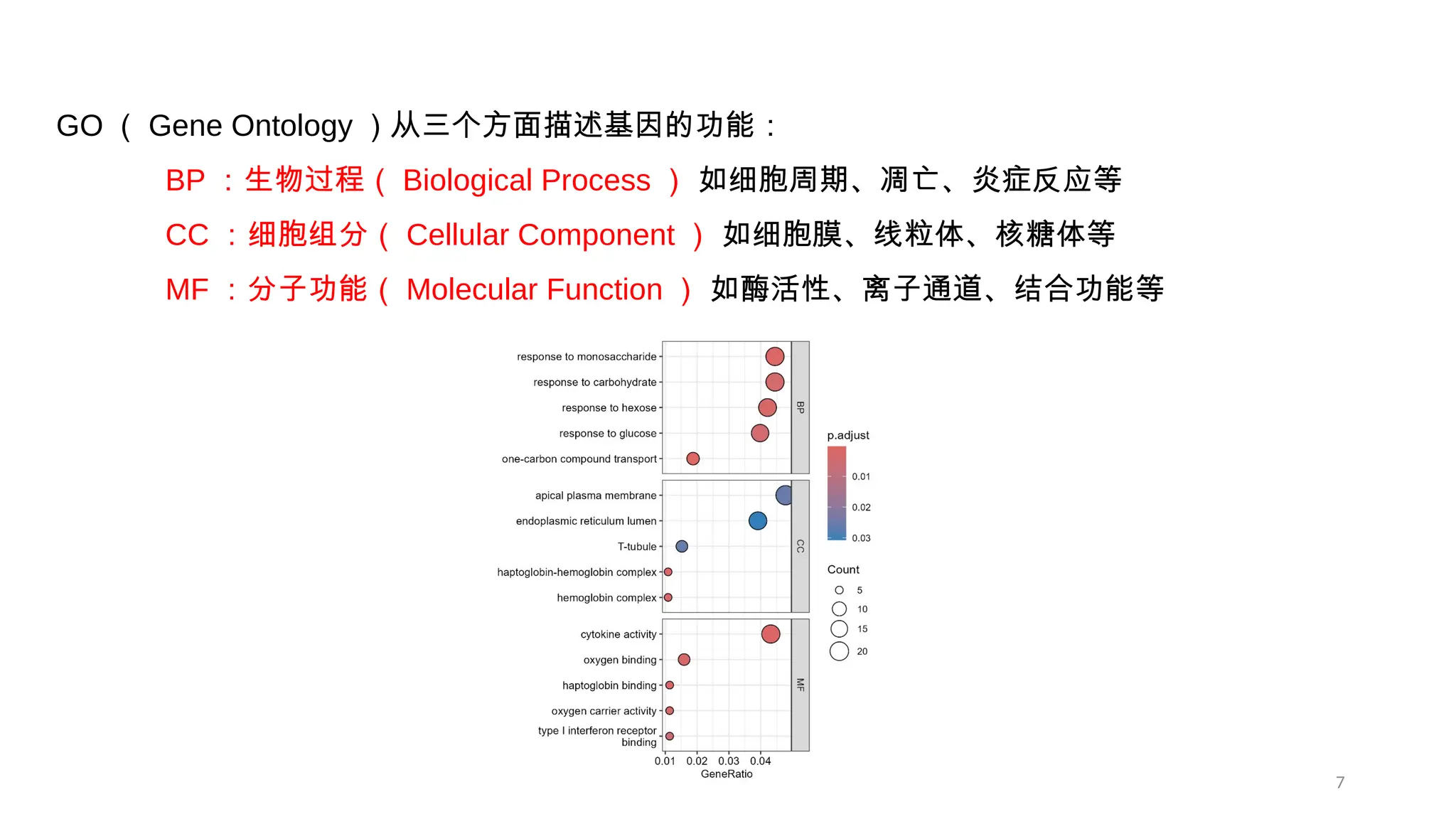 7 富集分析 -GO GO （ Gene Ontology ）从三个方面描述基因的功能： BP ：生物过程（ Biological Process ） 如细胞周期、凋亡、炎症反应等 CC ：细胞组分（ Cellular Component ） 如细胞膜、线粒体、核糖体等 MF ：分子功能（ Molecular Function ） 如酶活性、离子通道、结合功能等 