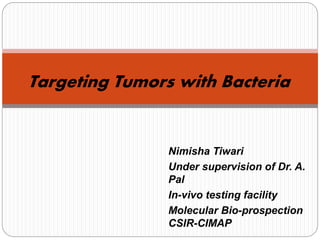 Nimisha Tiwari
Under supervision of Dr. A.
Pal
In-vivo testing facility
Molecular Bio-prospection
CSIR-CIMAP
Targeting Tumors with Bacteria
 